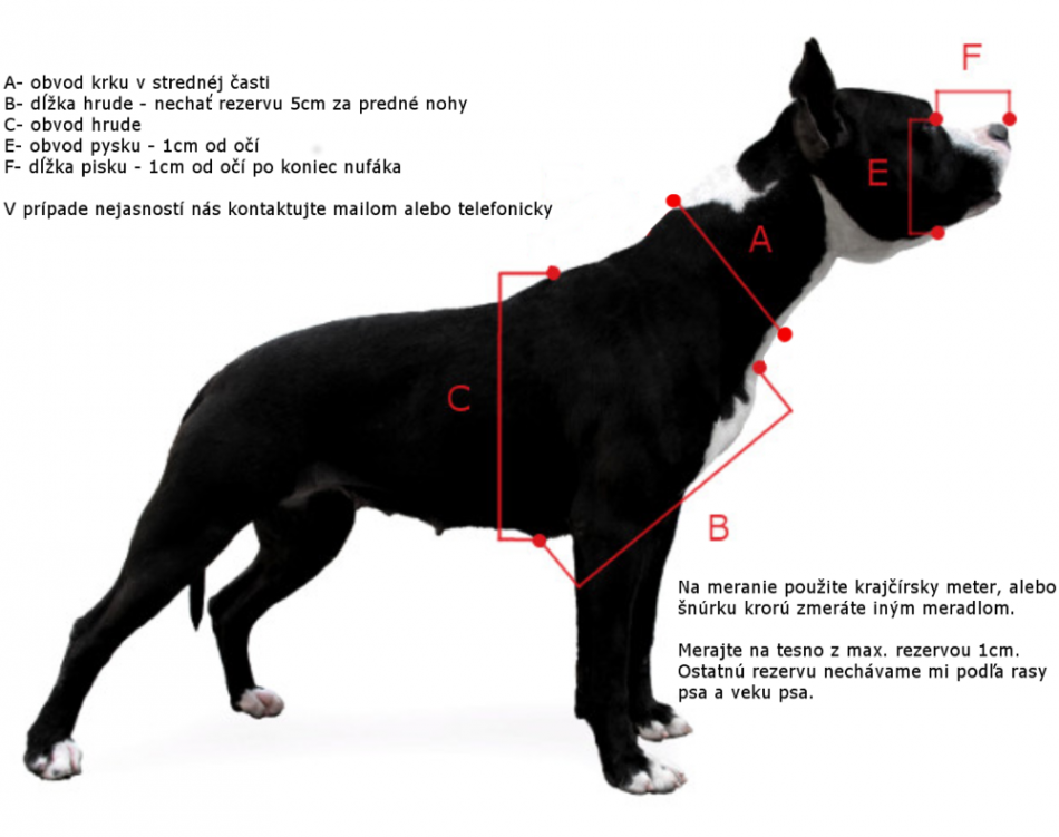Postroj nylonový 5cm - zelený, žltý