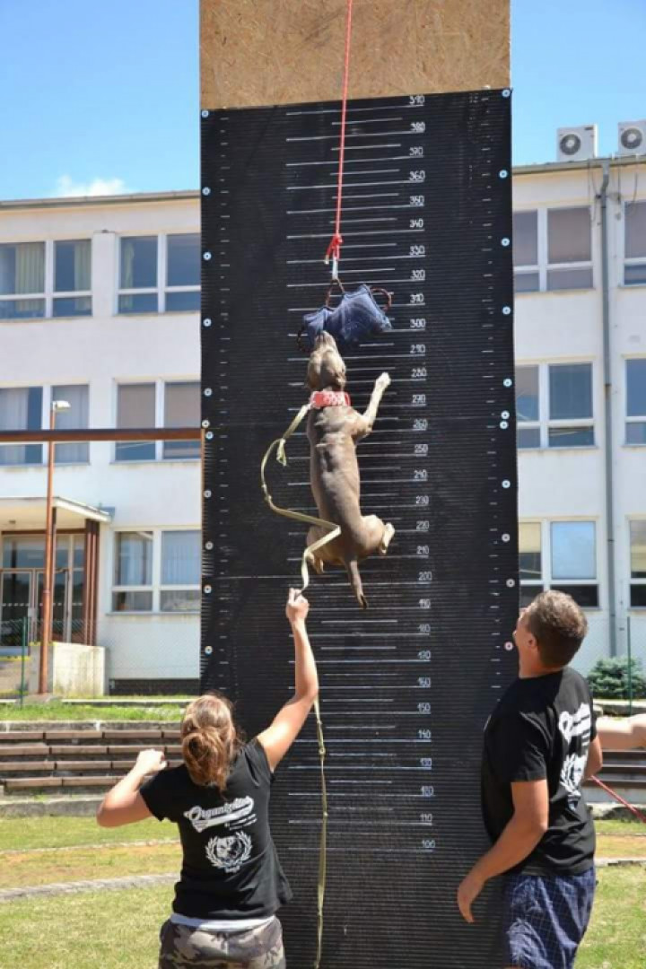  WALL CLIMBING 