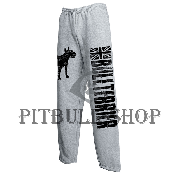 English Bullterrier Grey