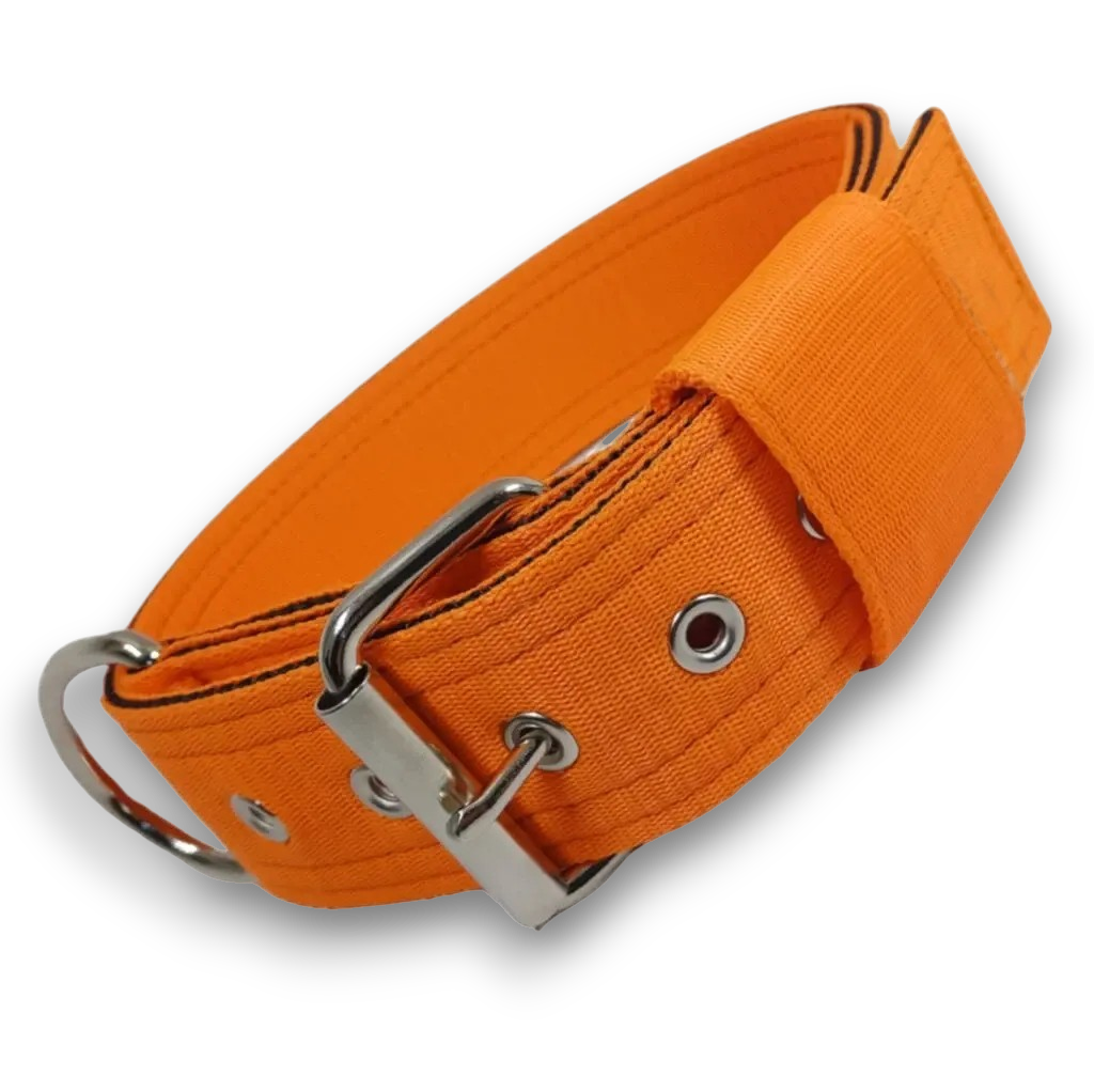 Obojok nylonový 4cm - oranžový