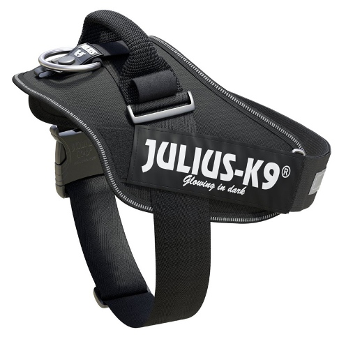 JULIUS K-9 JULIUS K-9